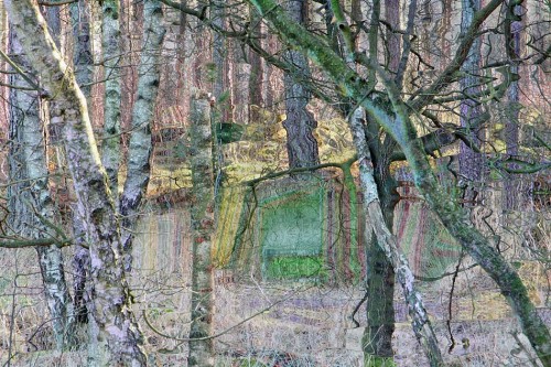 persfoto's: TRANS_2.03b ::: Kees de Graaff