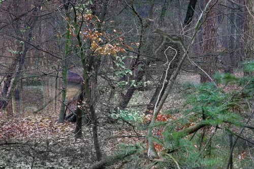 persfoto's: TRANS_2.03b ::: Kees de Graaff