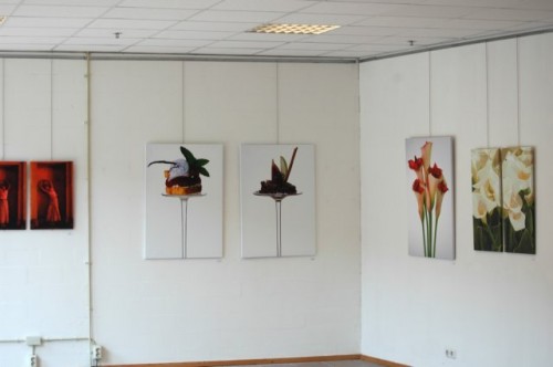 dsc_1510 persfoto's: Pluk de Dag :: Barend houtsmuller