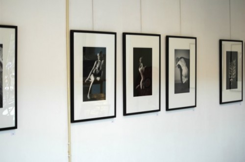 persfoto's: Pluk de Dag :: Barend houtsmuller