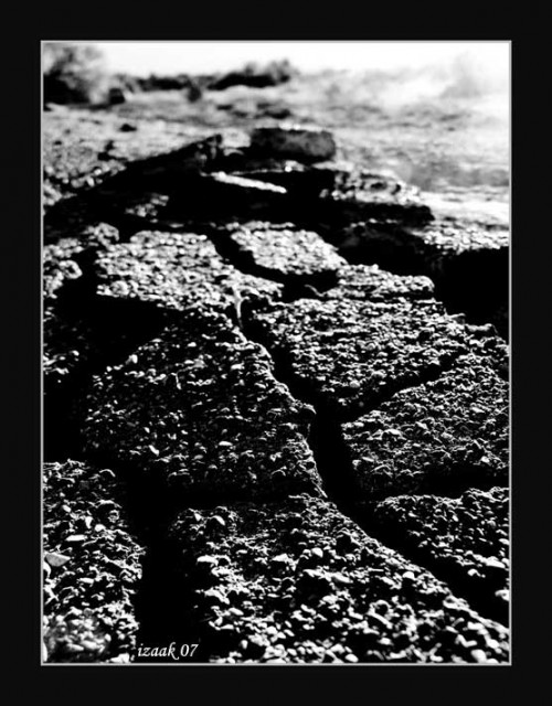 persfoto's: Nobody really has a Home :: Izaak P. Slagt