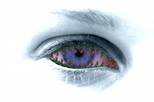 spring-eye spring-eye