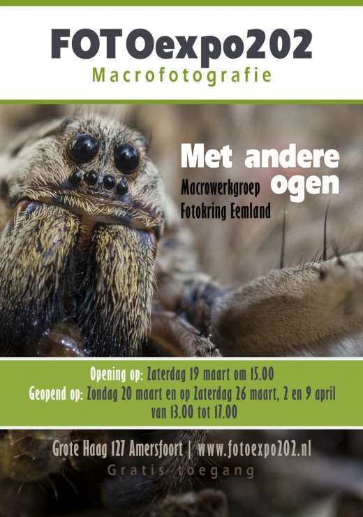 Poster Macro werkgroep web